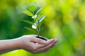 iStock_000011606573Small